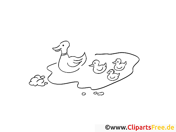 Enten im Teich MalvorlageAusmalbild
