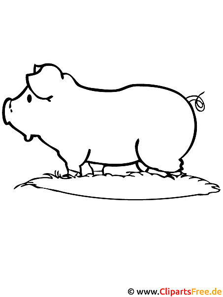 Schwein Malvorlage Bauernhof Schwein Malvorlage Bauernhof
