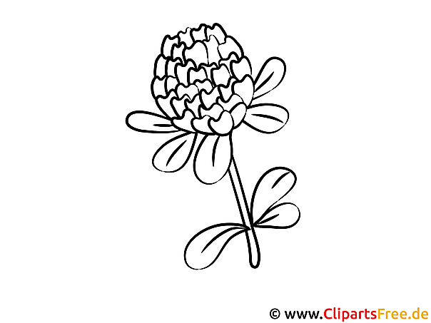 Ausmalbild Kleber - Ausmalbilder mit Blumen Ausmalbild Kleber - Ausmalbilder mit Blumen
