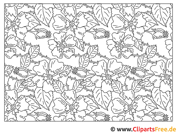 Blumen - Bilder zum Ausmalen Blumen - Bilder zum Ausmalen