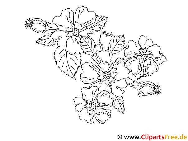 Blumen Ausmalbilder Ausmalen Blumen Ausmalbilder Ausmalen