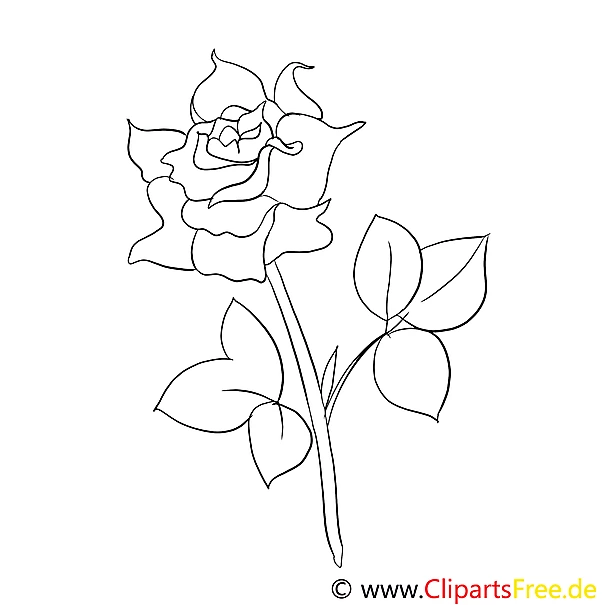 Rose Ausmalbild kostenlos Rose Ausmalbild kostenlos