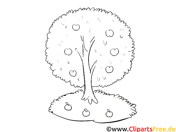 Apfelbaum im Garten - Kostenlose Ausmalbilder Herbst