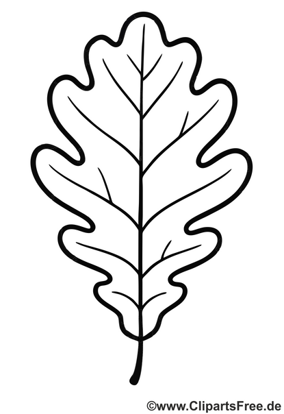 Ausmalbild Eichenblatt herunterladen als PDF Ausmalbild Eichenblatt herunterladen als PDF