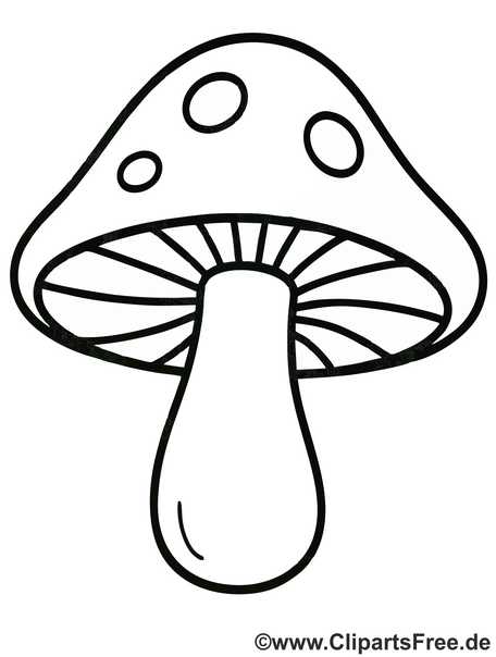 Ausmalbild Fliegenpilz herunterladen als PDF Ausmalbild Fliegenpilz herunterladen als PDF