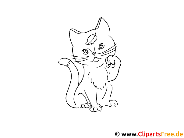 Druckbilder zum Ausmalen mit Tieren - Katze Druckbild