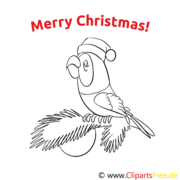 merry christmas coloring page papagei fichte zweig