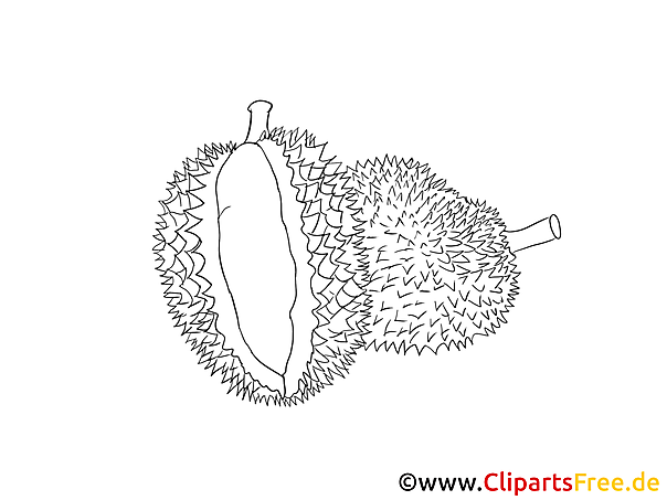 Kostenloses Ausmalbild Durian als Malvorlage im PDF-Format