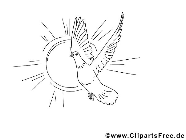 Kostenloses Ausmalbild Taube im Sonnenlicht als PDF Malvorlage