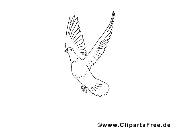 Kostenloses Ausmalbild Vogel als PDF - Kreative Malvorlage gratis