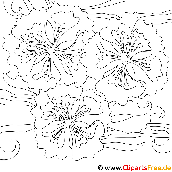 Kostenloses Ausmalbild Blumen im PDF-Format - Malvorlage gratis Kostenloses Ausmalbild Blumen im PDF-Format - Malvorlage gratis