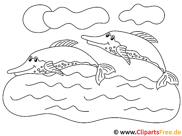 delfine malvorlage zum ausmalen