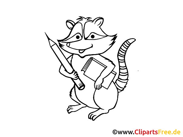 Kostenloses Ausmalbild Waschbär als PDF Malvorlage für Kinder Kostenloses Ausmalbild Waschbär als PDF Malvorlage für Kinder