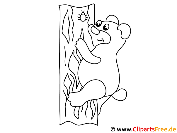 Kostenloses Ausmalbild Bär im Baum – Malvorlage im PDF-Format
