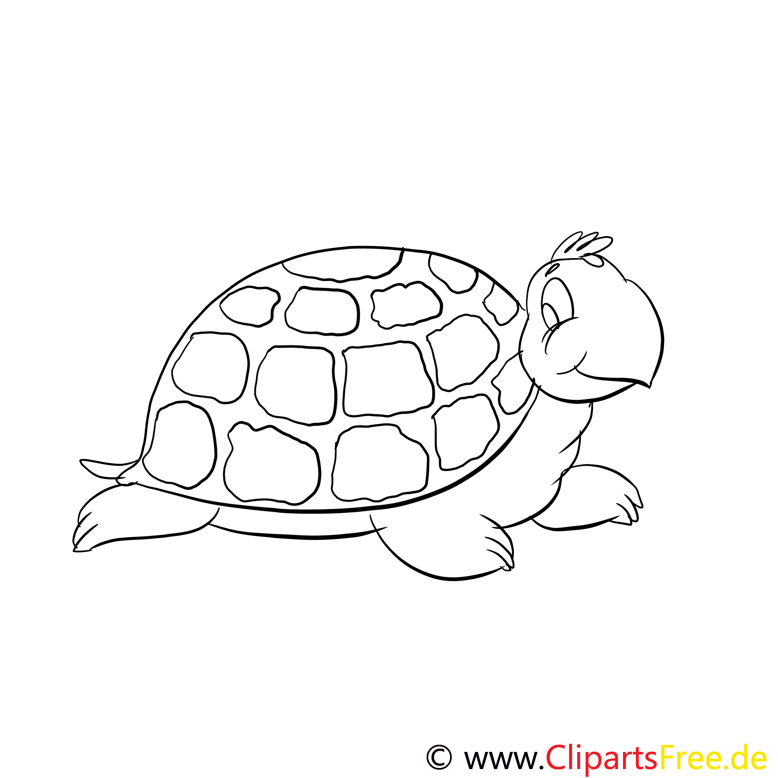 Мудрая черепаха раскраска для детей