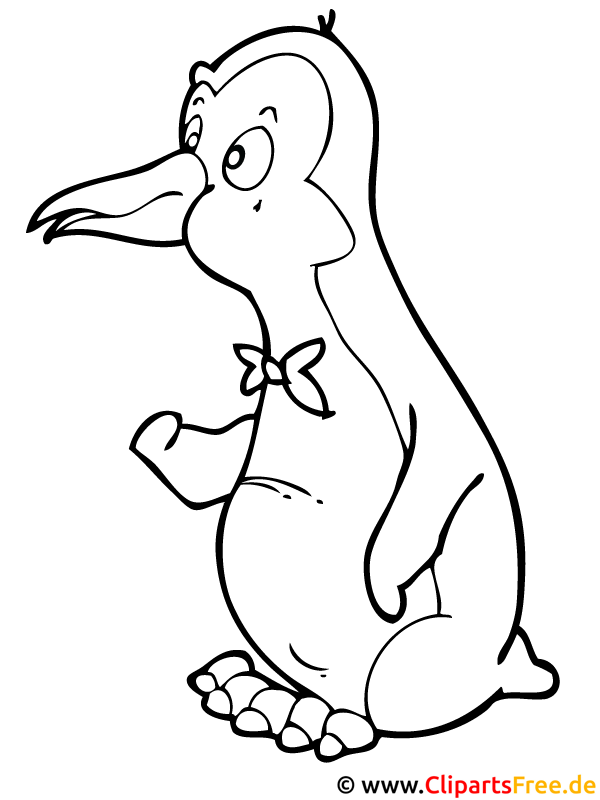 pinguin ausmalbild kostenlos