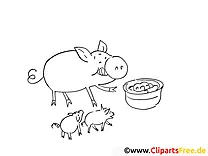 Ausmalbilder kostenlos zum Thema Bauernhof - Schwein