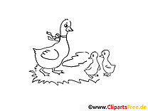 Farm Animals Coloring Pages - Goose and Chicken