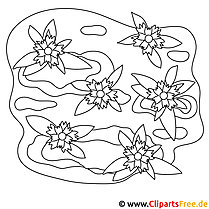 Flowers picture for coloring, coloring page