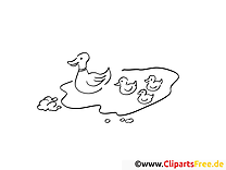 Ducks in the pond coloring page-coloring picture
