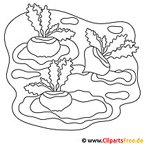 Image de légumes à colorier, coloriage