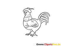 Rooster to color or trace