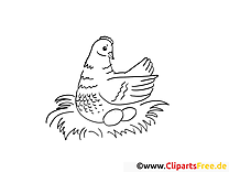 Hen coloring page for free