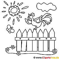 Chicken picture for coloring, coloring page