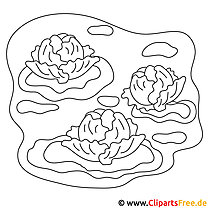 Cabbage picture for coloring, coloring page