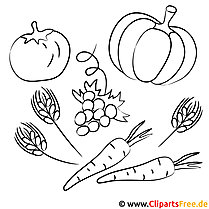 关于收获、蔬菜、秋季的免费可打印着色页
