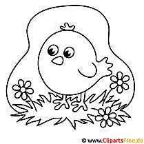 Chick picture for coloring, coloring page
