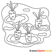 Carrots picture for coloring, coloring page