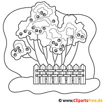 Fruit trees picture for coloring, coloring page