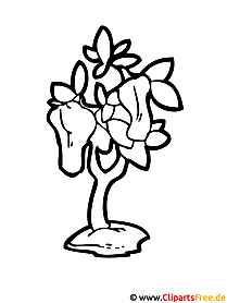 Peppers image - coloring page Farm