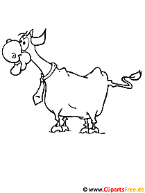 Beef coloring page farm