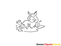 Sow coloring page coloring picture