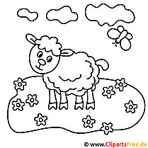 Sheep in the meadow coloring page