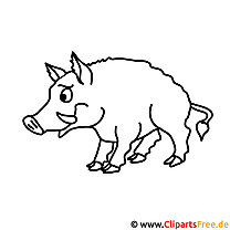 Boyama, boyama sayfası için domuz resmi