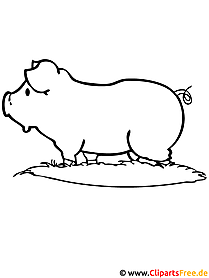 Pig coloring page farm