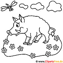Wild boar picture for coloring, coloring page
