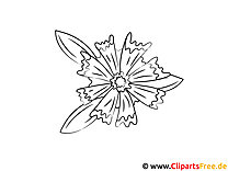 Coloring picture for children flower