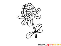 Coloring picture Kleber - Coloring pictures with flowers