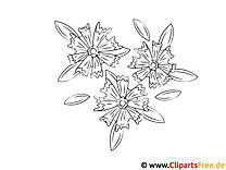 Coloring pages Window Color with flowers