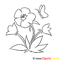 Marshmallow and butterfly coloring page for free