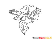 Easy coloring page flower