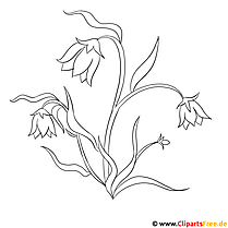 Field flowers coloring pages free