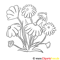 Field flowers coloring picture for coloring