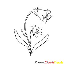 Bluebell coloring page for free
