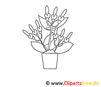 Free coloring page Flowers
