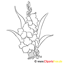 Iris flowers coloring page to print